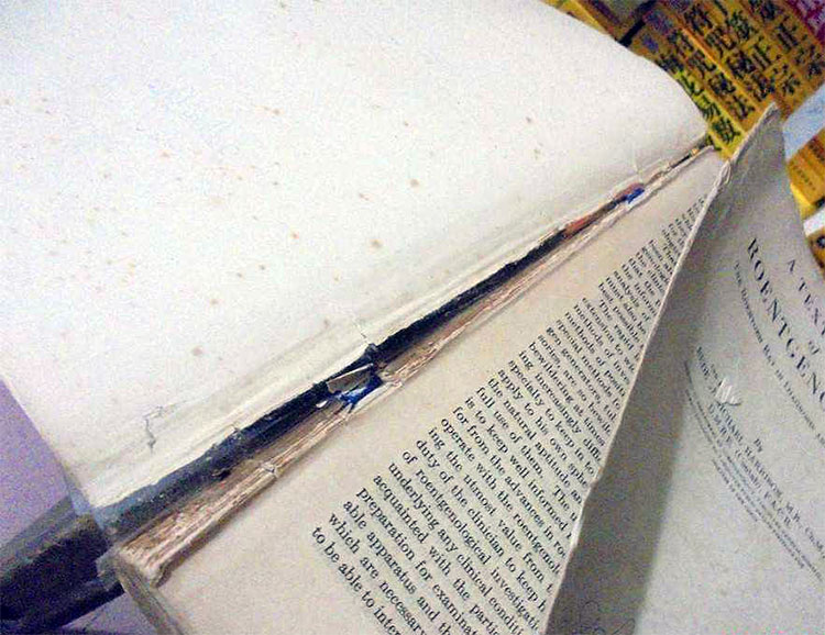 �����z�ϻ���������Ó�