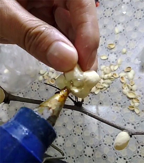 �����z��ճ�Բ�����ȫ�Q��ճ��Ч��